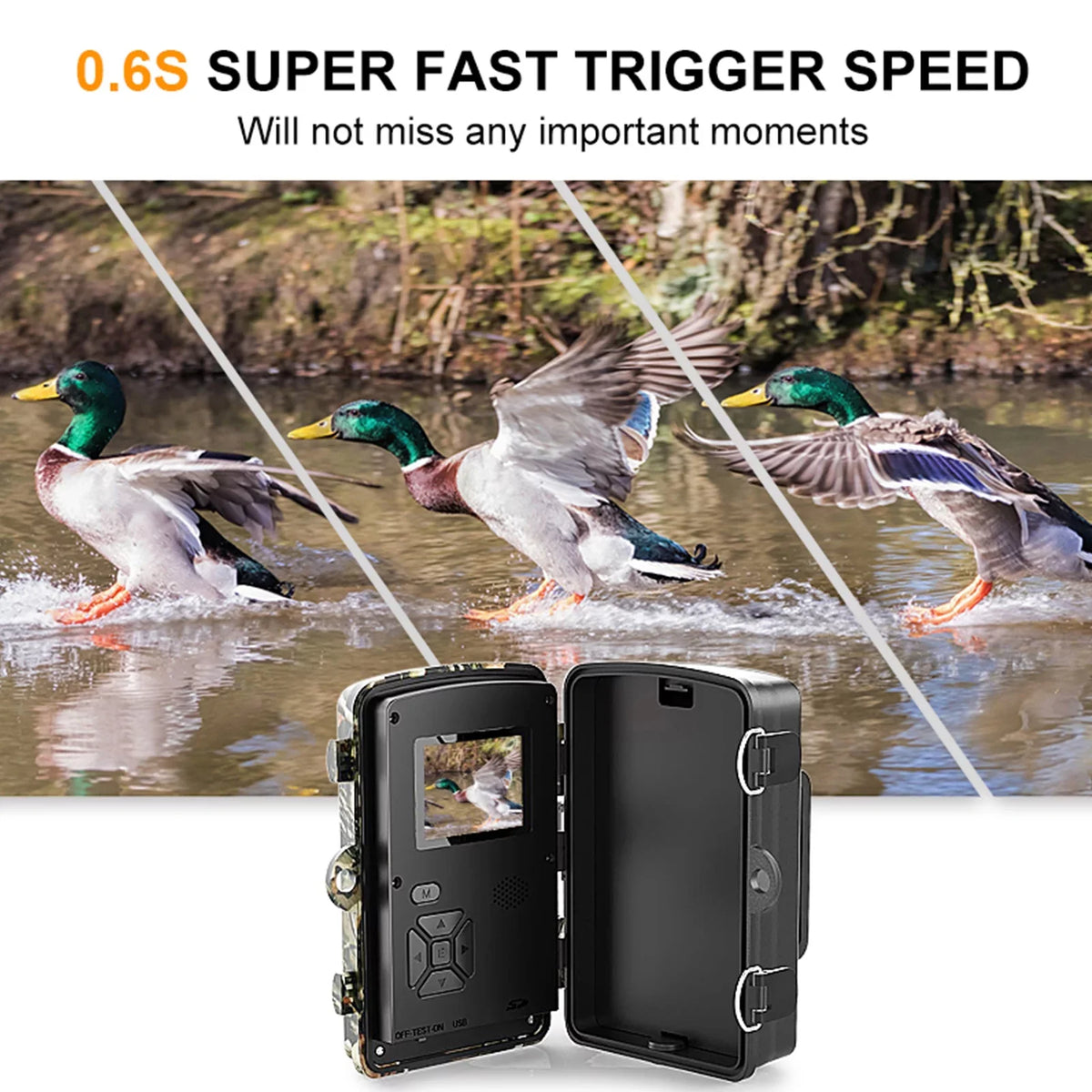 Display IR with Home TFT Wildlife, Use Game Night Camera for Dadypet Trail Motion Detection, and 2.4'' Waterproof, Color Farm, Vision, IP66 1080P and