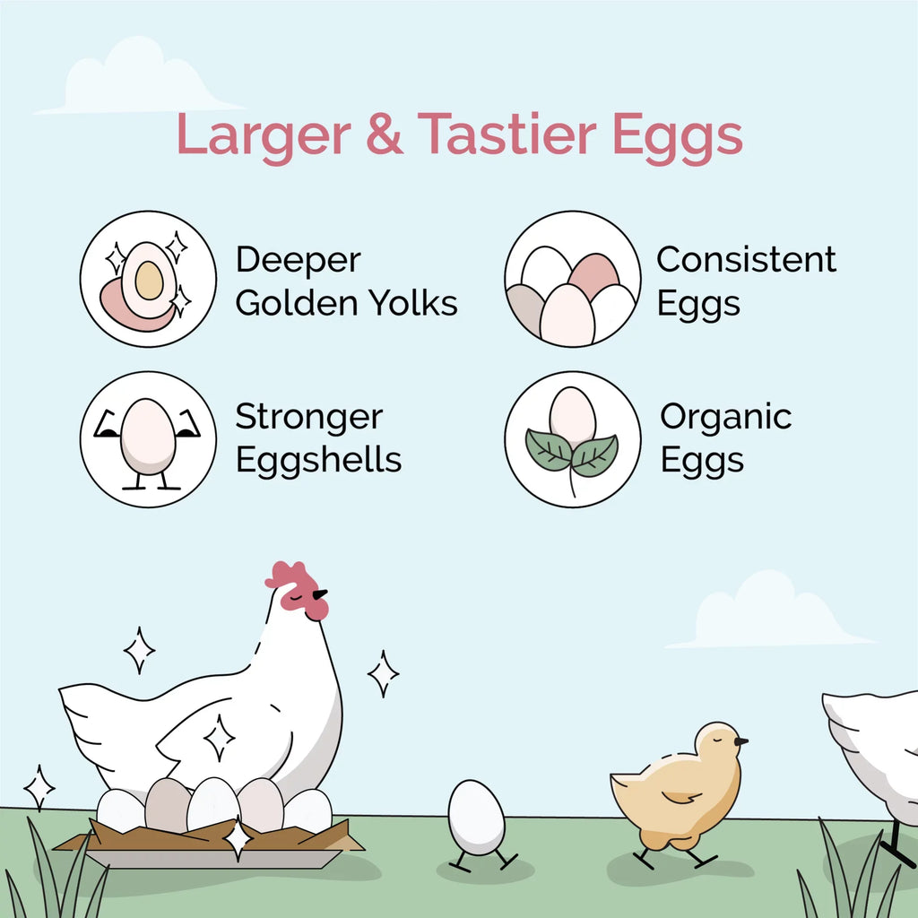 Mile Chicken Certified Certified Organic Grower Feed Chicken Soy-Free, Protein Whole 18% Organic, US Grain 46 Food | Grown | lbs. Non-Medicated Four 100% | | | Corn-Free, Grains, Non-GMO,