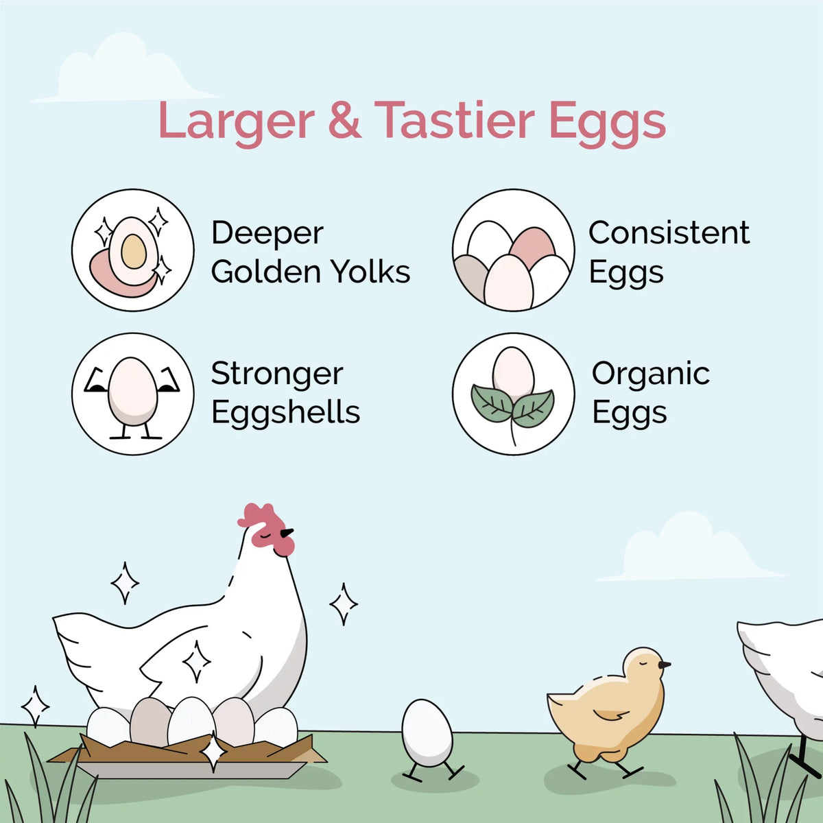 Mile Chicken Certified Certified Organic Grower Feed Chicken Soy-Free, Protein Whole 18% Organic, US Grain 46 Food | Grown | lbs. Non-Medicated Four 100% | | | Corn-Free, Grains, Non-GMO,
