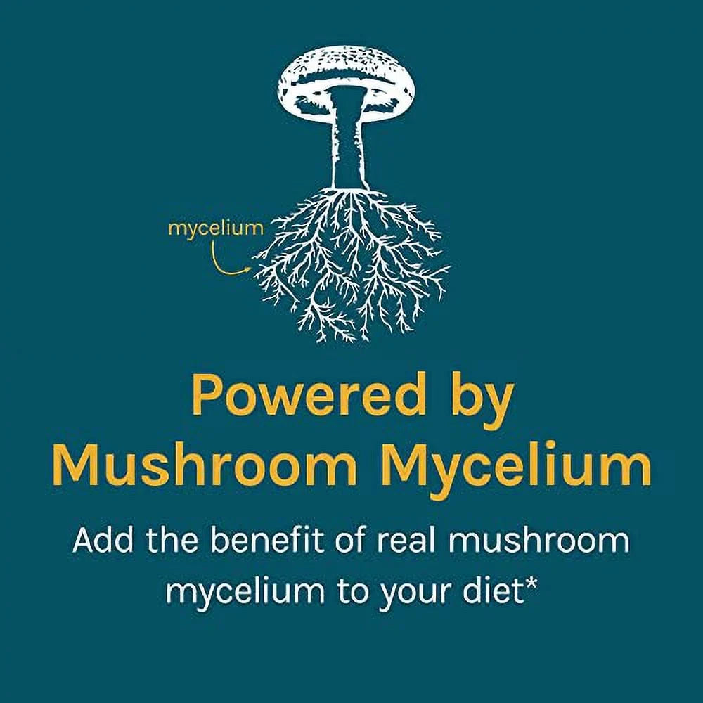 Powder, G for Stress Mushroom Defense, Host 100 CordyChi Supplement, Fatigue and Reduction,