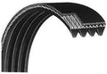 Drive Treadmill Jason Main Belt 8pj602 Works Cybex Motor Flexonic BD-16829