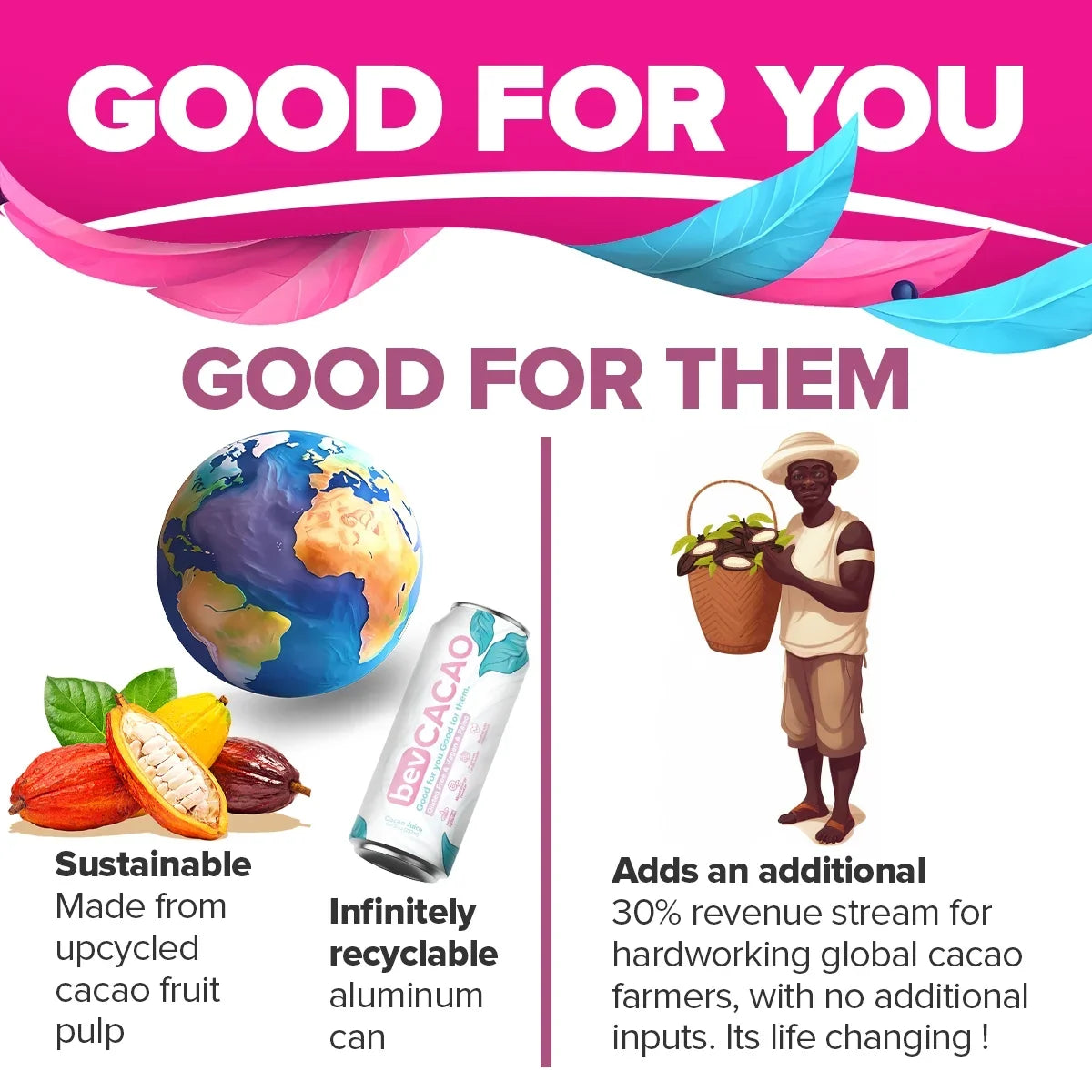 Cacao Fruit Hydration. Pack Highest Natural Electrolytes of Cocoa Cans Healthy bevCacao Energy Drink| Improves | Superfruit Antioxidant Boost the 8 8.4oz | | Juice Pod.