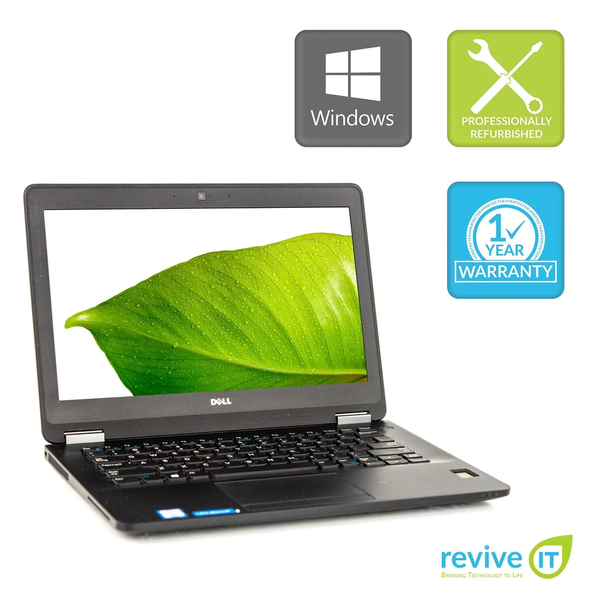 Used Core v.WCA M.2 Latitude i5 B SSD Integrated Pro Laptop Win Graphics E7270 12.5" 256GB 16GB 10