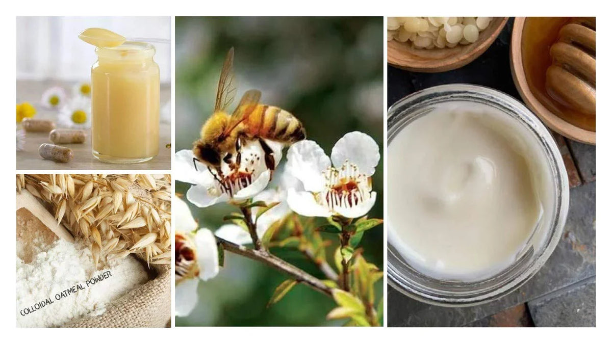 Itch glass Bee Organic Skin Oats Cream (2 Honey, with Jelly Face Cream Moisturizing Oatmeal Royal | Anti Colloidal All & jar) Manuka | & Ages, Types | oz Honey Cream Body | | Cream