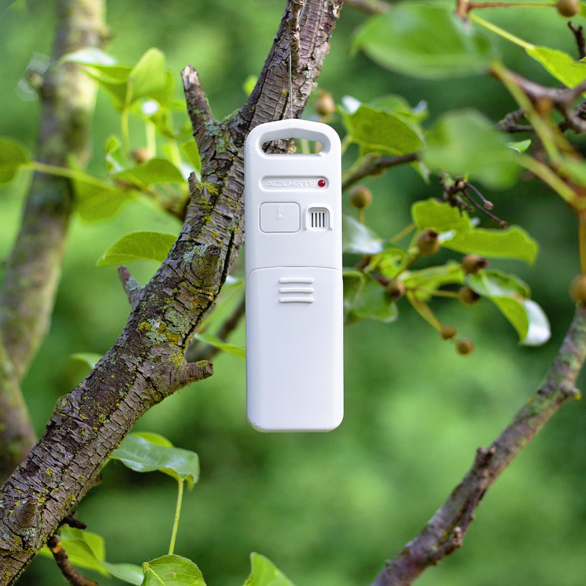 Sensors Temperature with (01096M) Station Indoor/exterior 3 & AcuRite Humidity