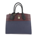 (Good) Noir Tote Steamer MM M54260 2WAY Bag Shoulder Marine Raisin Handbag Leather Pre-Owned City