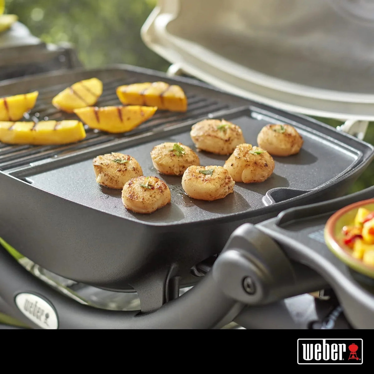 100/1000 Griddle, Q Series