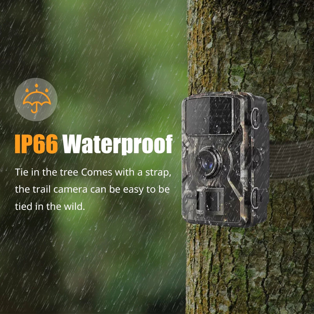Display IR with Home TFT Wildlife, Use Game Night Camera for Dadypet Trail Motion Detection, and 2.4'' Waterproof, Color Farm, Vision, IP66 1080P and