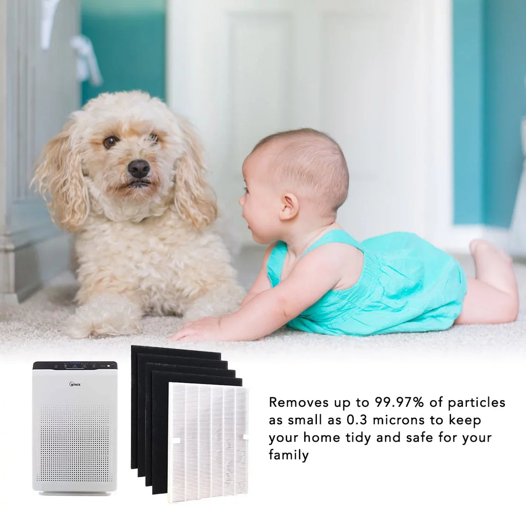for C535, Filter Hepa Replacement 115115 5300 5300-2, Set) A (1 for Filter Winix 6300-2,P300, and 5500