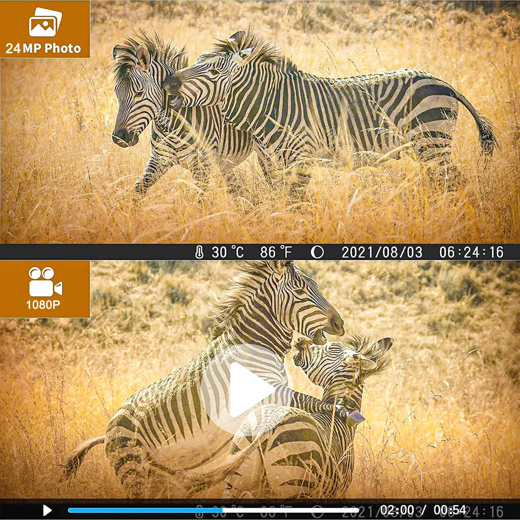 TF Monitor Camera Trail Wildgame Vision Waterproof Hunting LED HC-812A IR Card Night Monitors Hunting with Wildlife Camera 4K 32GB 36MP with Trail SuntekCam Trail
