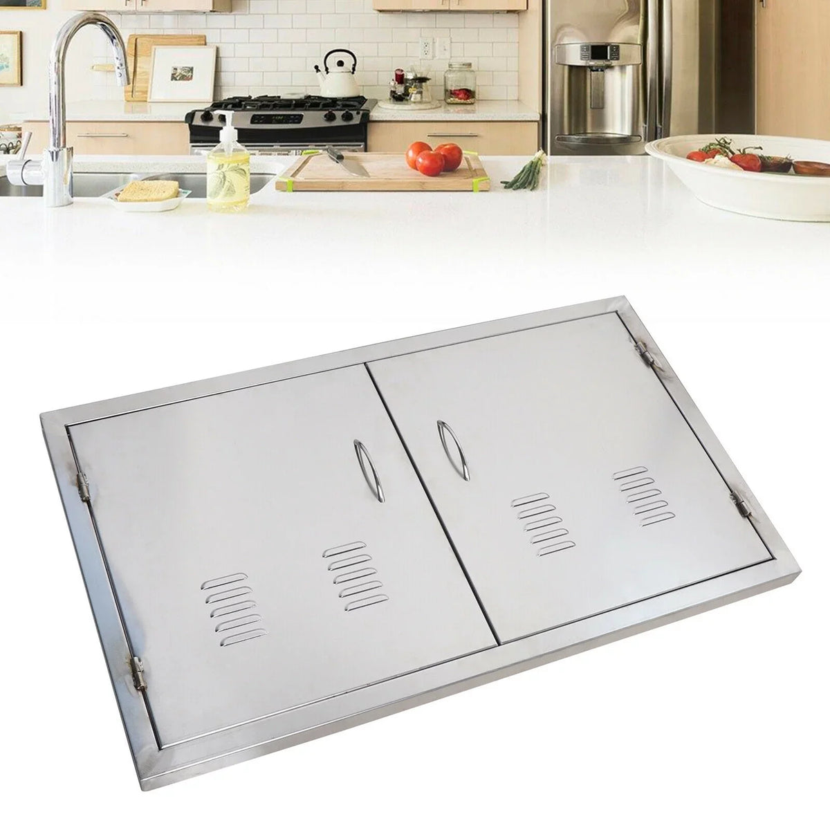 Stainless BBQ Cabinet Kitchen exterior Island Doors 21" Steel Access Doors 36" x