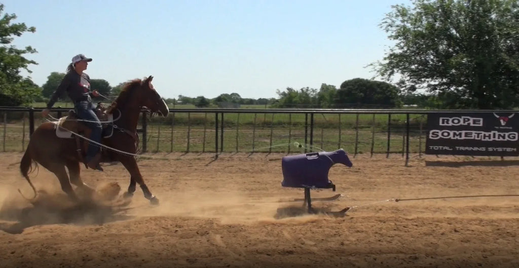 without Dummy 7K Calf Calf Sled- Something
