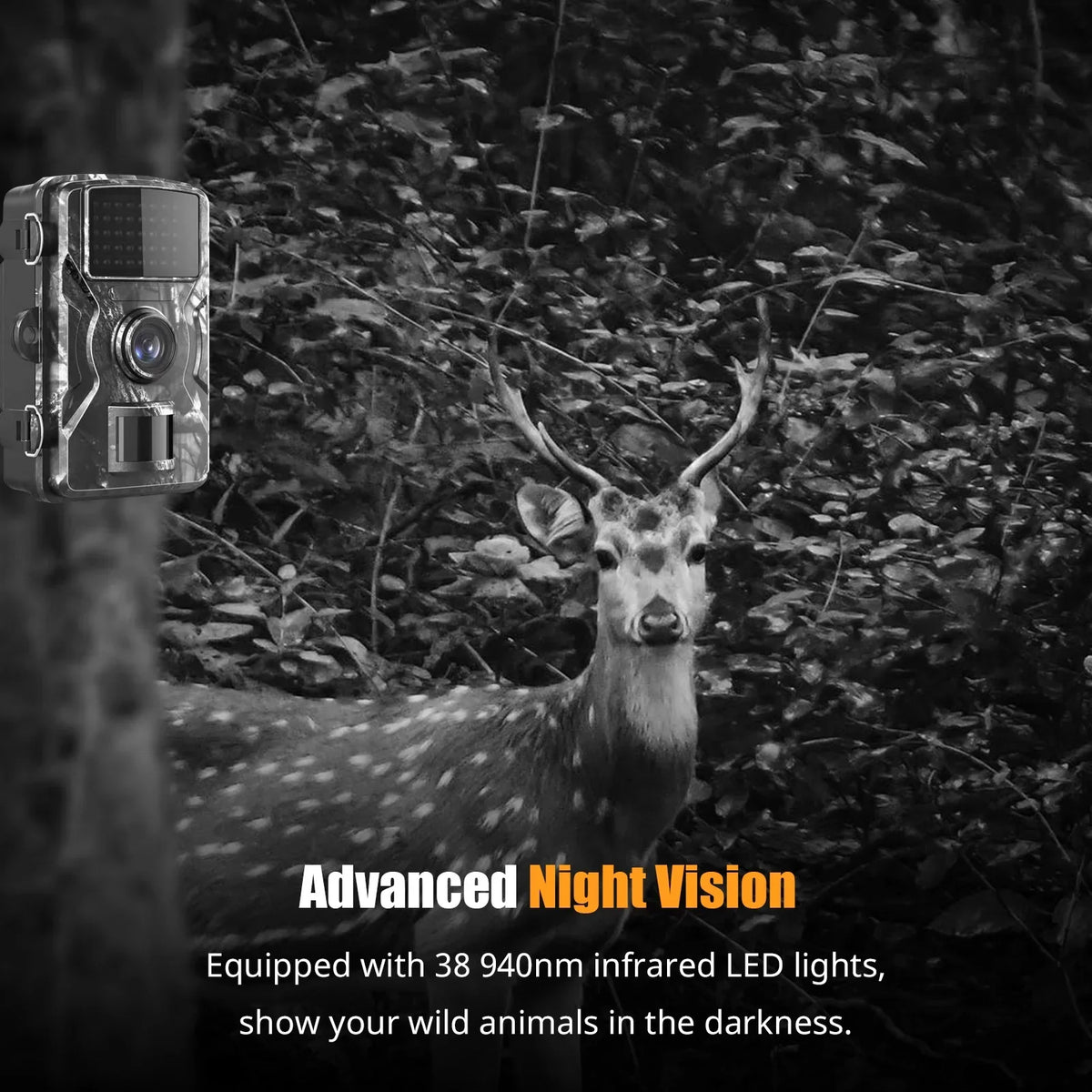 Display IR with Home TFT Wildlife, Use Game Night Camera for Dadypet Trail Motion Detection, and 2.4'' Waterproof, Color Farm, Vision, IP66 1080P and
