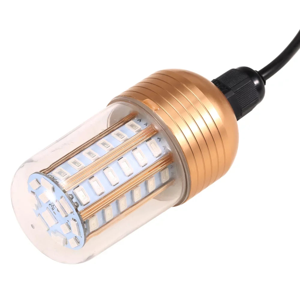 Night Lamp LEDs Fish Attracting 30W Carevas Fishing Fish Submersible Bait Cord 60 Underwater Squid with Finder -60V