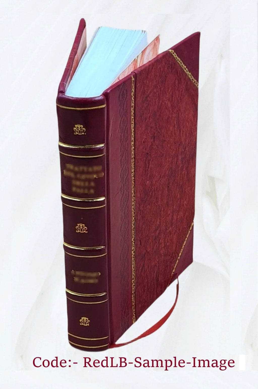 tribute Bound] Thomas' Bardstown, [Leather Neck, at Seminary Historical 1906 Kentucky Poplar to St. near