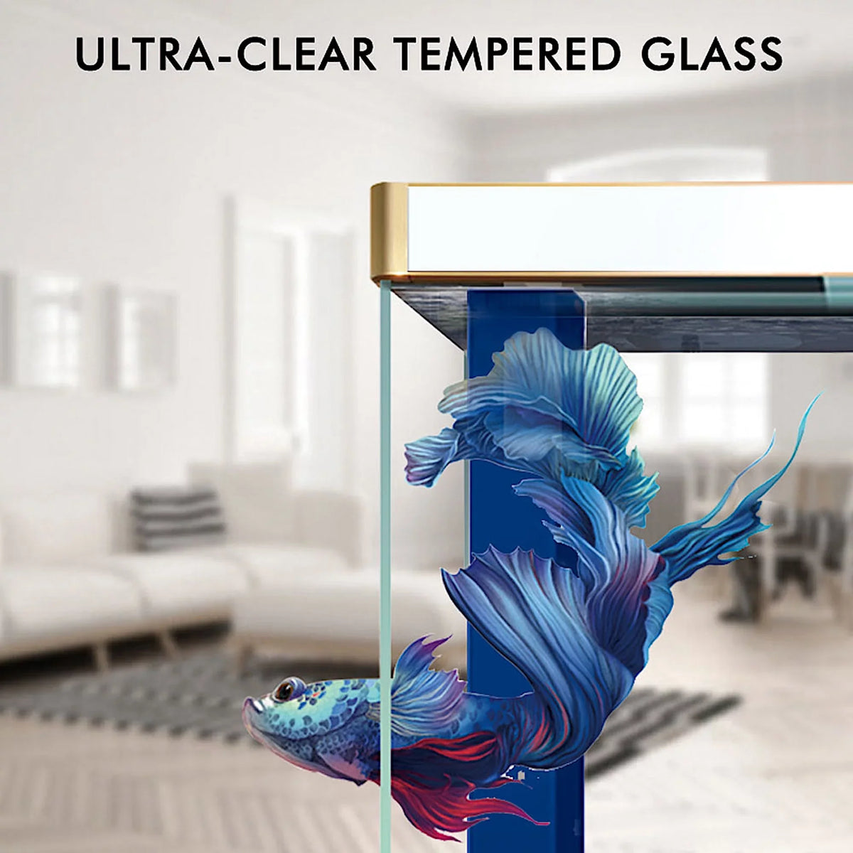 Gallon Aqua Tempered 100 Aquarium Dream Glass All-in-one Black