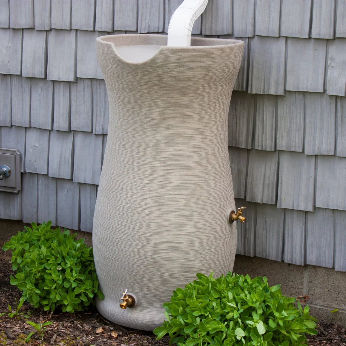 Corsican Saver Impressions Gallon 50 Rain