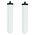 System. Cartridge Replacement Pure Pack] Filtration liquid [Two For Mountain 661RFC