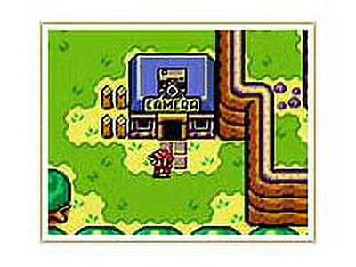 Nintendo Link's Legend Switch of The Zelda - Awakening