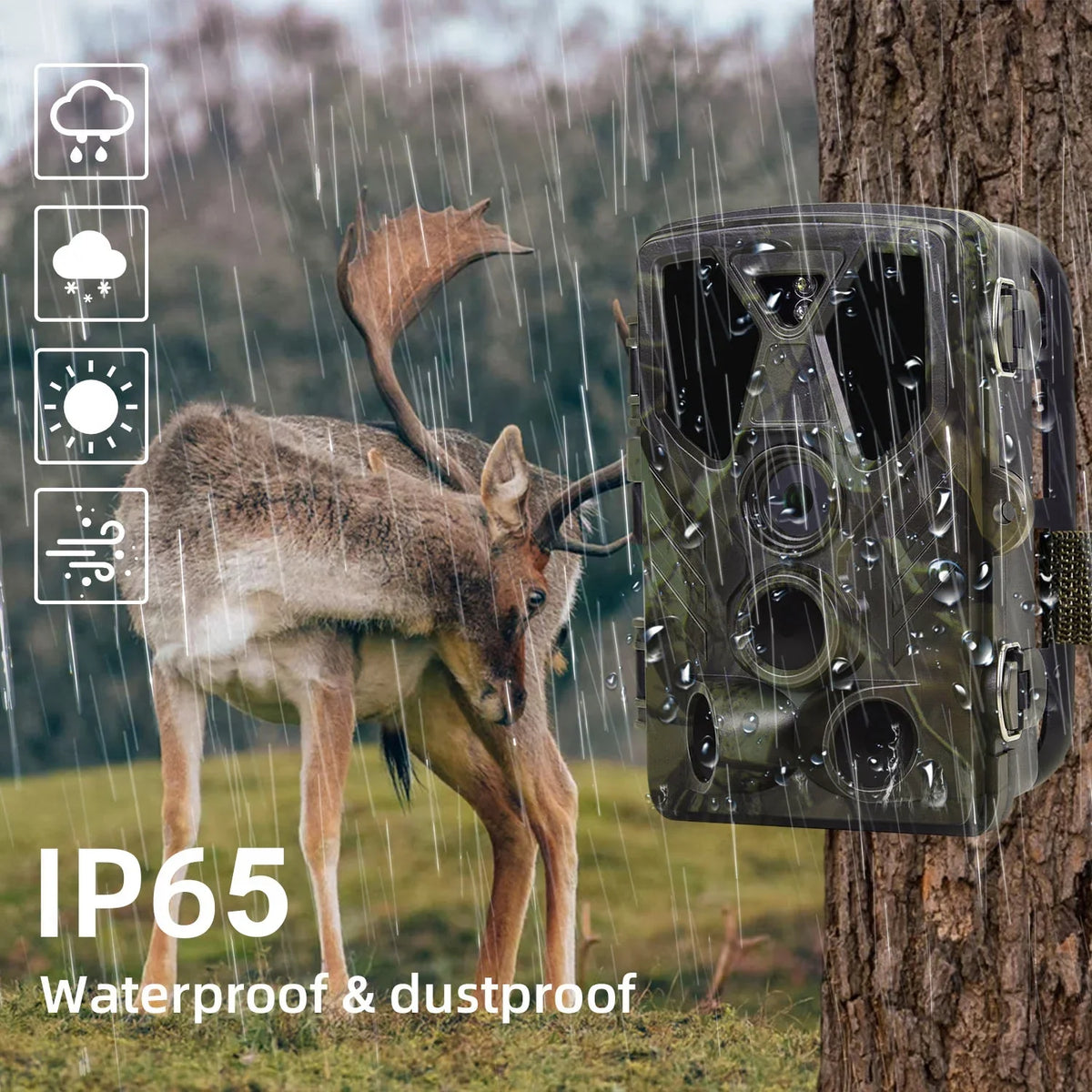 TF Monitor Camera Trail Wildgame Vision Waterproof Hunting LED HC-812A IR Card Night Monitors Hunting with Wildlife Camera 4K 32GB 36MP with Trail SuntekCam Trail
