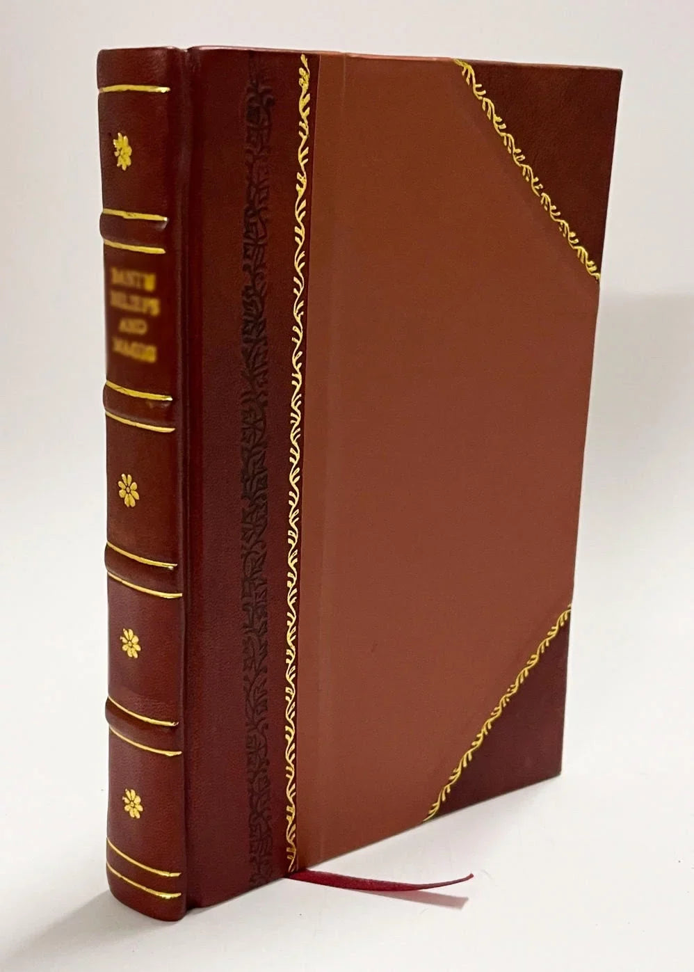 Edition 1869 New (1869) City, How to [Leather Bound] It; York See / and