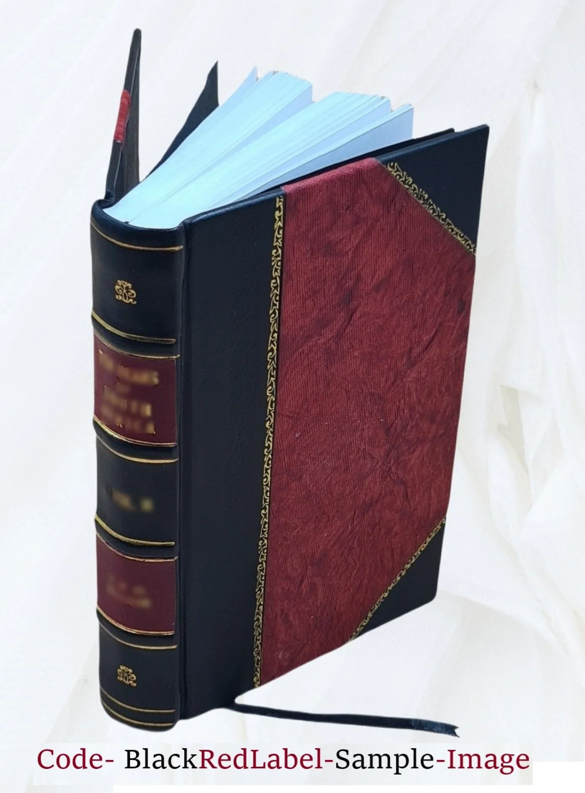 Bound] 1926 [Leather Volume 1926 Jahresbericht.
