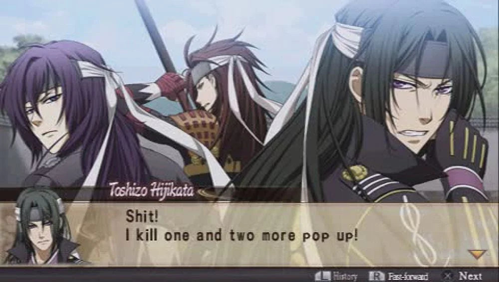 Shinsengumi the of Warriors Hakuoki:
