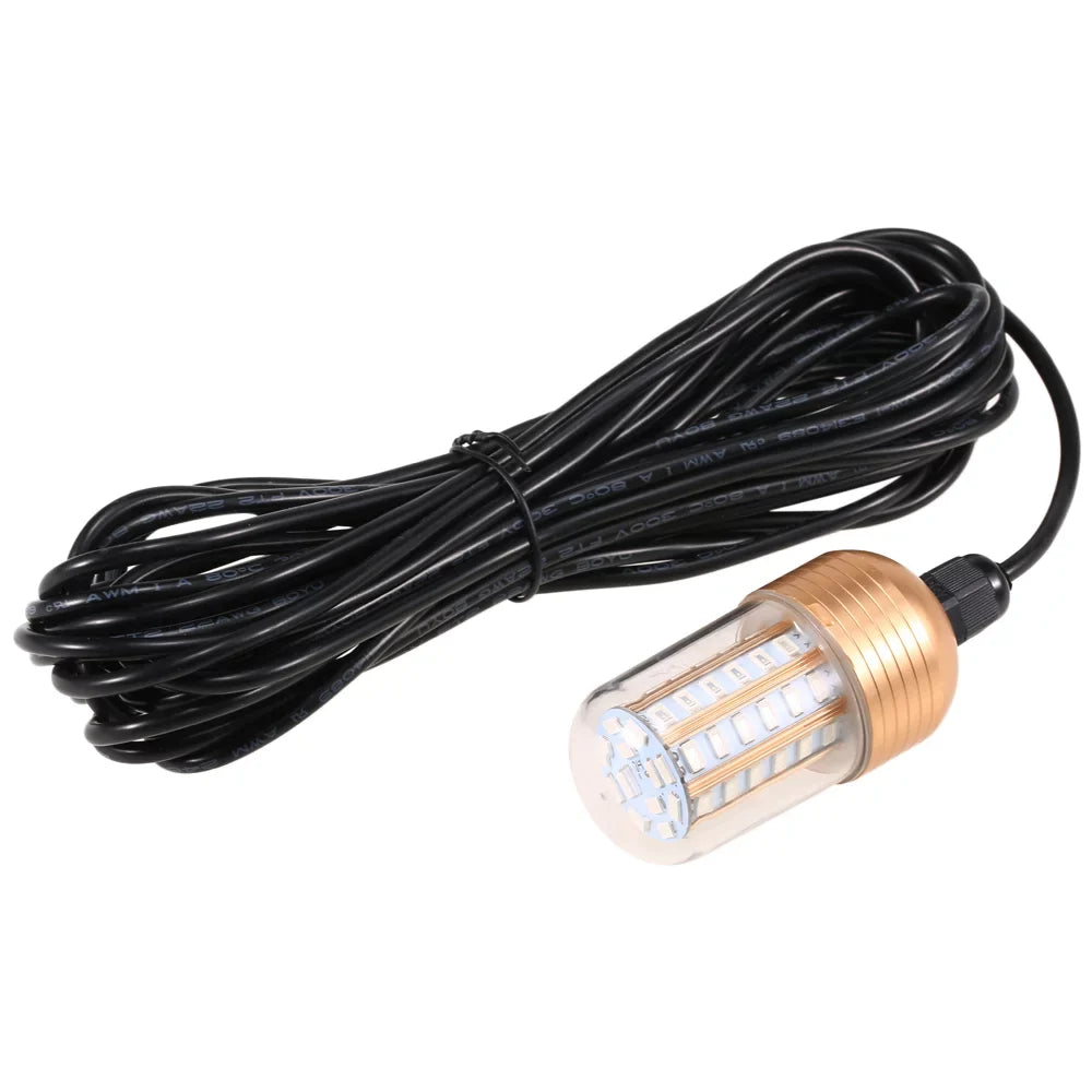 Night Lamp LEDs Fish Attracting 30W Carevas Fishing Fish Submersible Bait Cord 60 Underwater Squid with Finder -60V