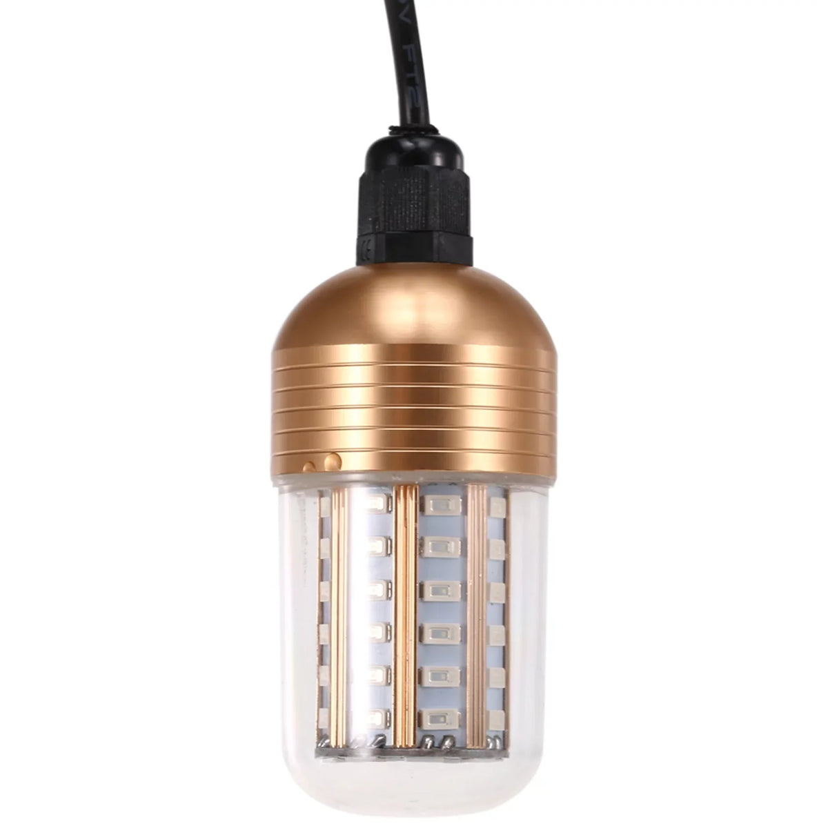 Night Lamp LEDs Fish Attracting 30W Carevas Fishing Fish Submersible Bait Cord 60 Underwater Squid with Finder -60V