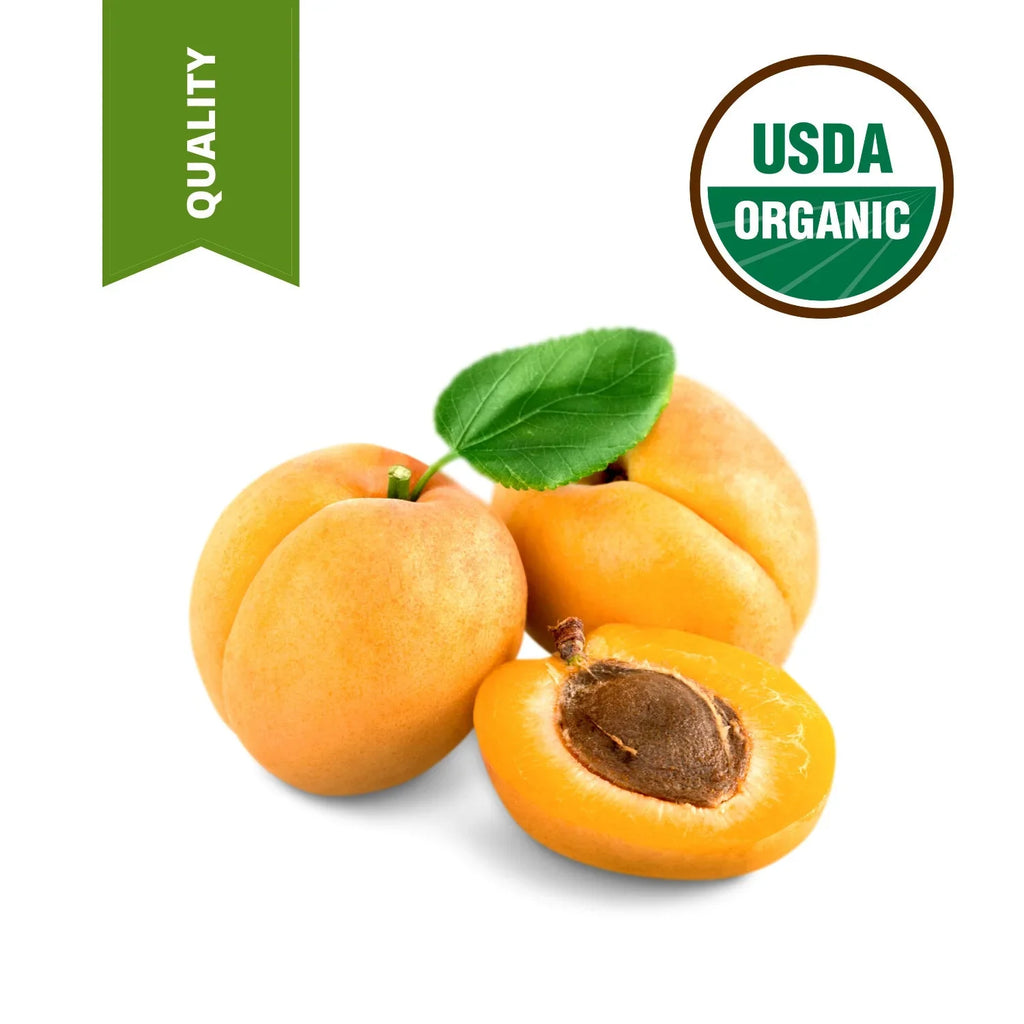 100% Apricot pressed 1 Virgin Unrefined Organic pure Kernel oil Gallon cold